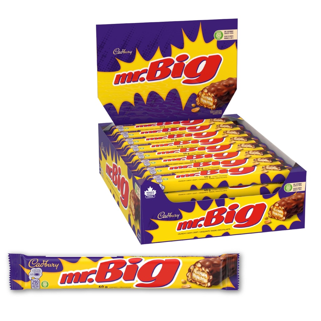 CADBURY MR. BIG REGULAR 60G/ 24CT