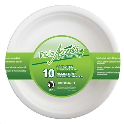 PLASTIC PLATES 9" /10PK