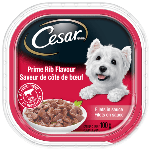 CESAR PRIME RIB FLAVOUR 100G