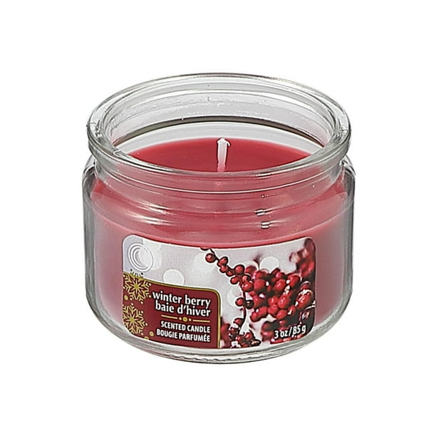 AIR FRESH WINTER BERRIES 3OZ