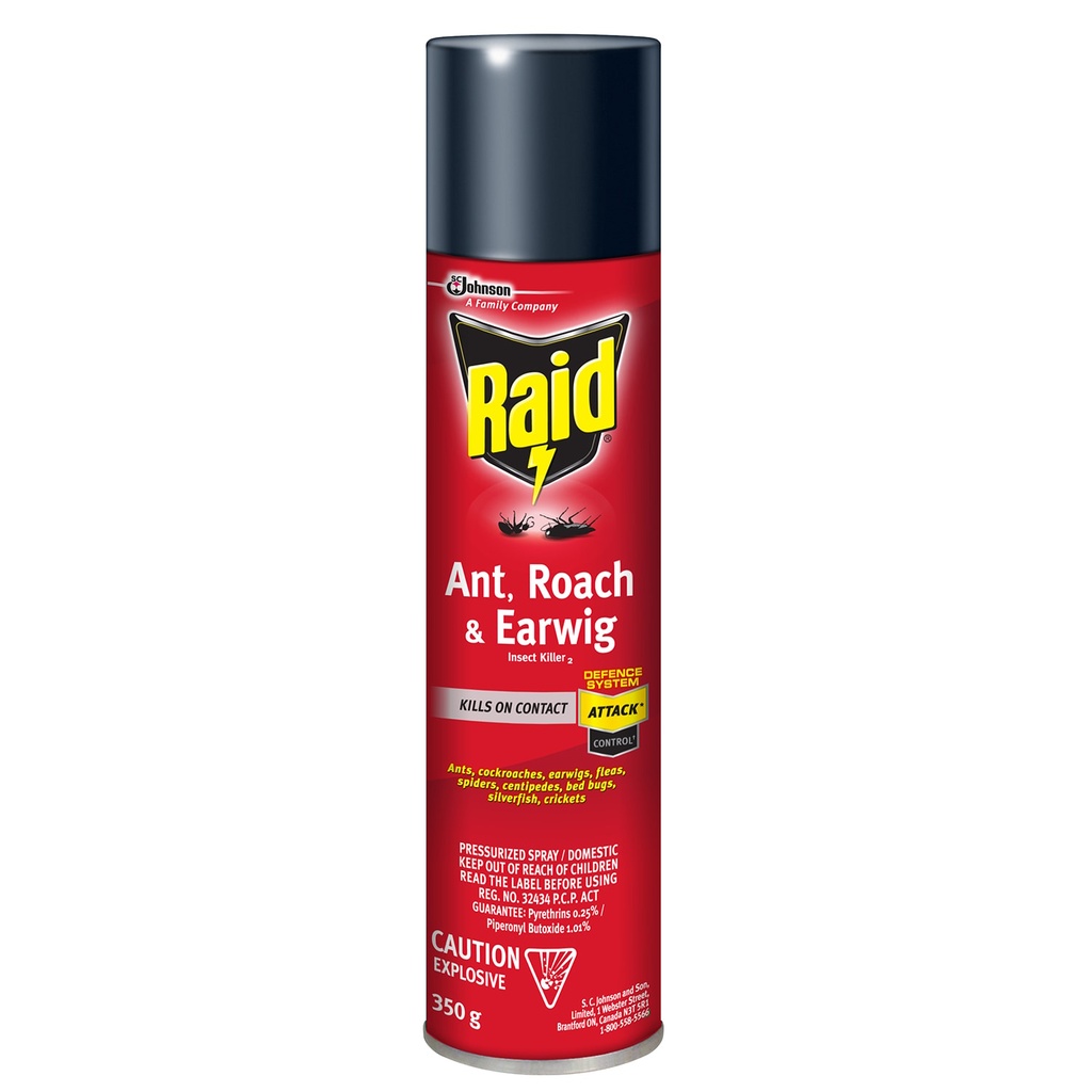RAID ANT/ ROACH & EARWING SPRAY 350G