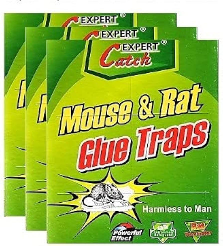 MOUSE & RAT GLUE TRAPS