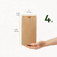RITE EARTH PAPER BAG KRAFT 4LB