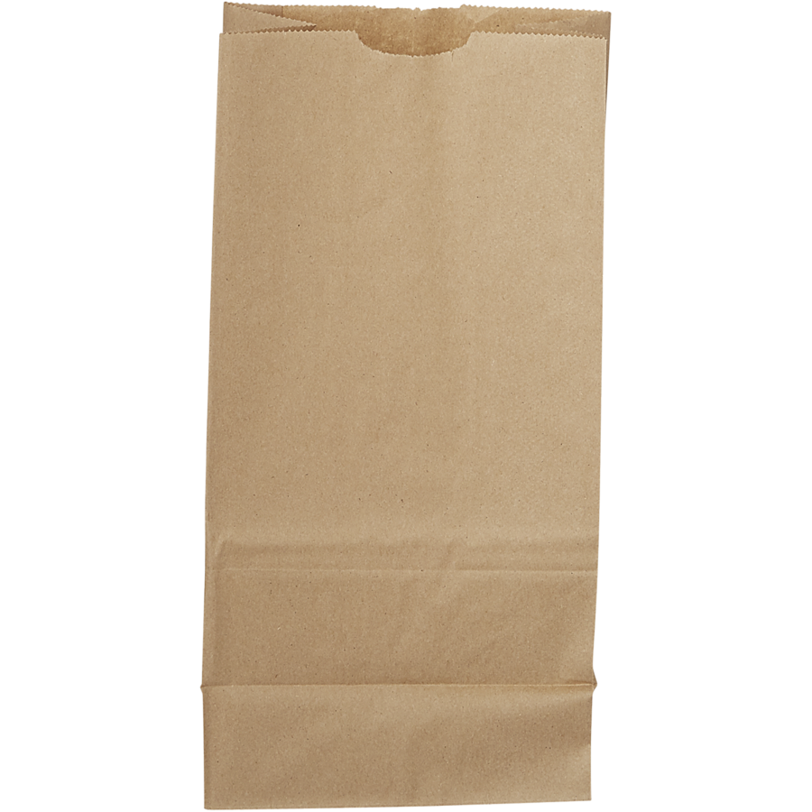 RITE EARTH PAPER BAG KRAFT 12LB