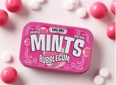 BIG SKY BUBBLEGUM MINTS 50G/6CT