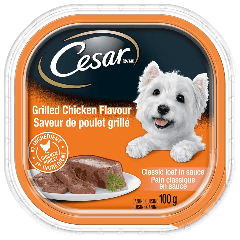 CESAR GRILLED CHICKEN FLVR 100G