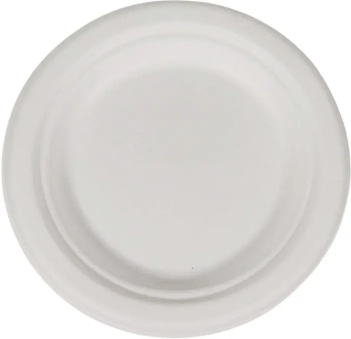 RITE EARTH 9" BAGASSE ROUND PLATES 1000CT