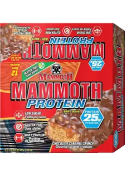 MAMMOTH CHOCOLATE CARAMEL CRUNCH PROTEIN BAR 75G/12CT