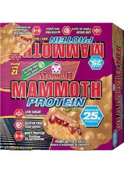 MAMMOTH PEANUT BUTTER & JELLY PROTEIN BAR 75G/12CT