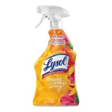 LYSOL ALL PURPOSE MANGO & HIBISCUS  650ML 