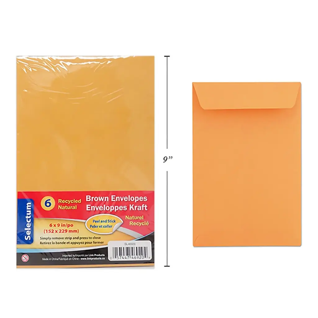 PEEL & SEAL KRAFT ENVELOPE 6X9/ 6PK