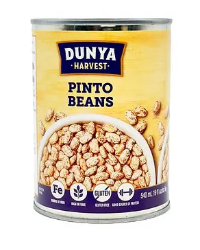 DUNYA HARVEST PINTO BEANS CAN 540ML    
