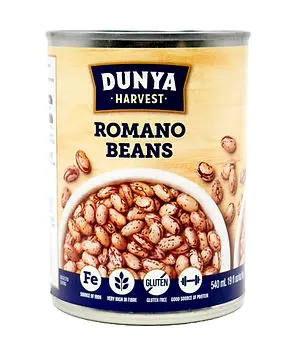 DUNYA HARVEST ROMANO BEANS CAN 540ML 