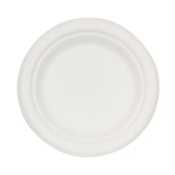 RITE EARTH 6" BAGASSE ROUND PLATES 1000CT