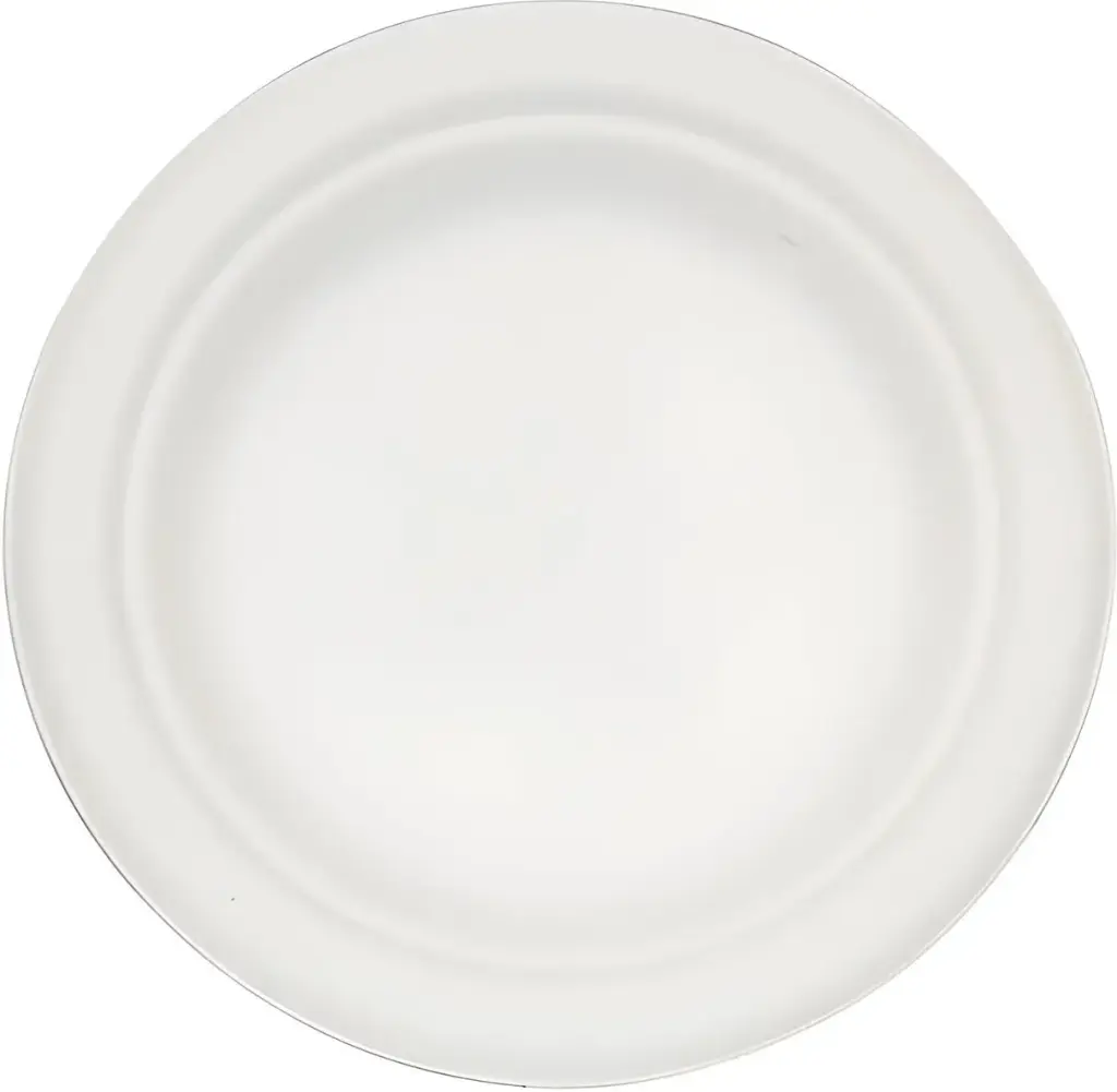 RITE EARTH 6.5" BAGASSE ROUND PLATES 500CT