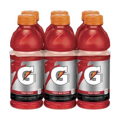 GATORADE G FRUIT PUNCH 591ML