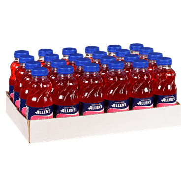 [056412740355] ALLEN'S FRUIT PUNCH JUICE 300ML/24CT