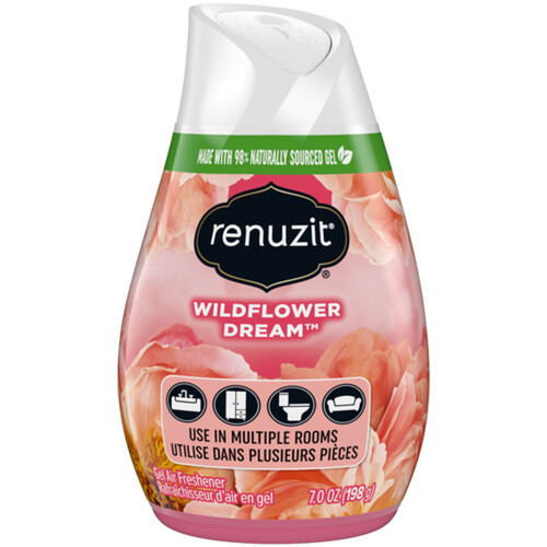 [023400998081] RENUZIT WILD FLOWER DREAM 198g