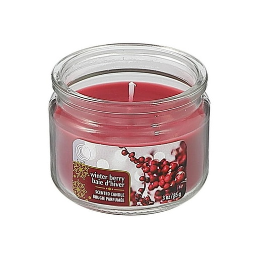 AIR FRESH WINTER BERRIES 3OZ