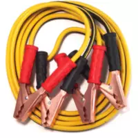 [8189-31] PICO BOOSTER CABLE 10FT