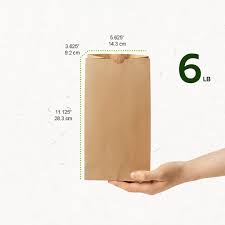 [806494215063] RITE EARTH PAPER BAG KRAFT 6LB