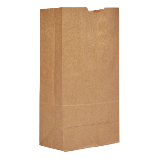 [025240] TALL BROWN PAPER BAG #20