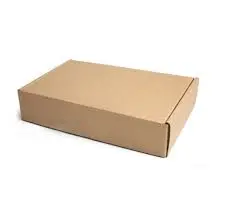 [00000555] CARDBOARD BOX 