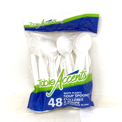 PLASTIC TEASPOON /48CT  