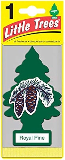 [T17152] LITTLE TREES PURE STEEL 24PK 