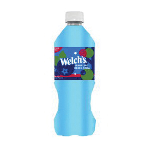 WELCH'S BERRY BOTTLE 591ML (US) 