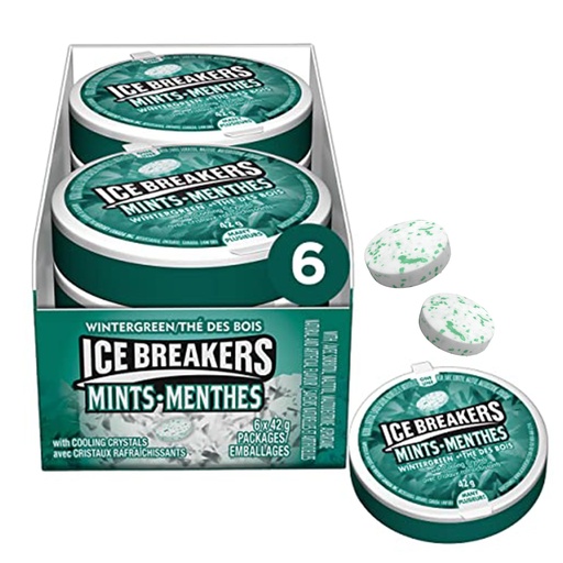 ICE BREAKERS WINTERGREEN  42G/ 8CT 