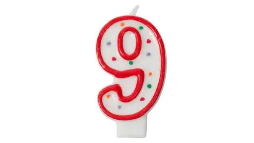 [SL24009] BIRTHDAY CADLE # 9