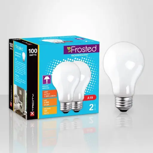 [1-63907] 100W A19 FROSTED TRADITIONAL BULB 2PK