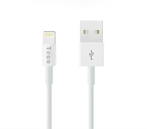  TECO C TO LIGHTNING CABLE  / 10PK 