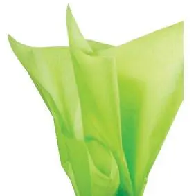 [777776017586] TISSUE PAPER LIME / 20PK  