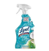 [3012] LYSOL BRAND NEW DAY 650ML 