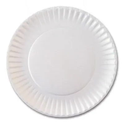 [726667962108] 9" UNCOATED PAPER PLATES WHITE 1200CS