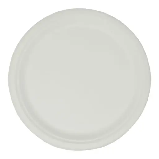 [0582-2] BAGASSE PLATES 10" / 25CT