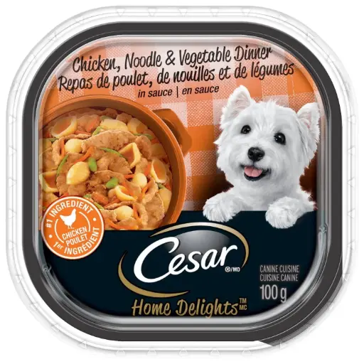 CESAR CHIKEN NOODLE & VEG FLAVOUR 100G 